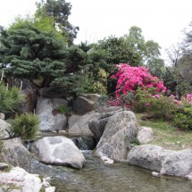 In the Japanese Garden of Buenos Aires